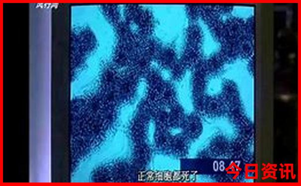 加拿大28开奖记录